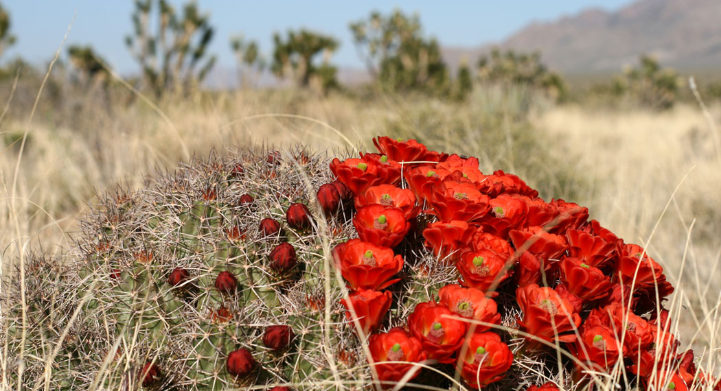 Dr. Samuel R. Epley Endodontist Lansing MI, Endodontics Lansing MI