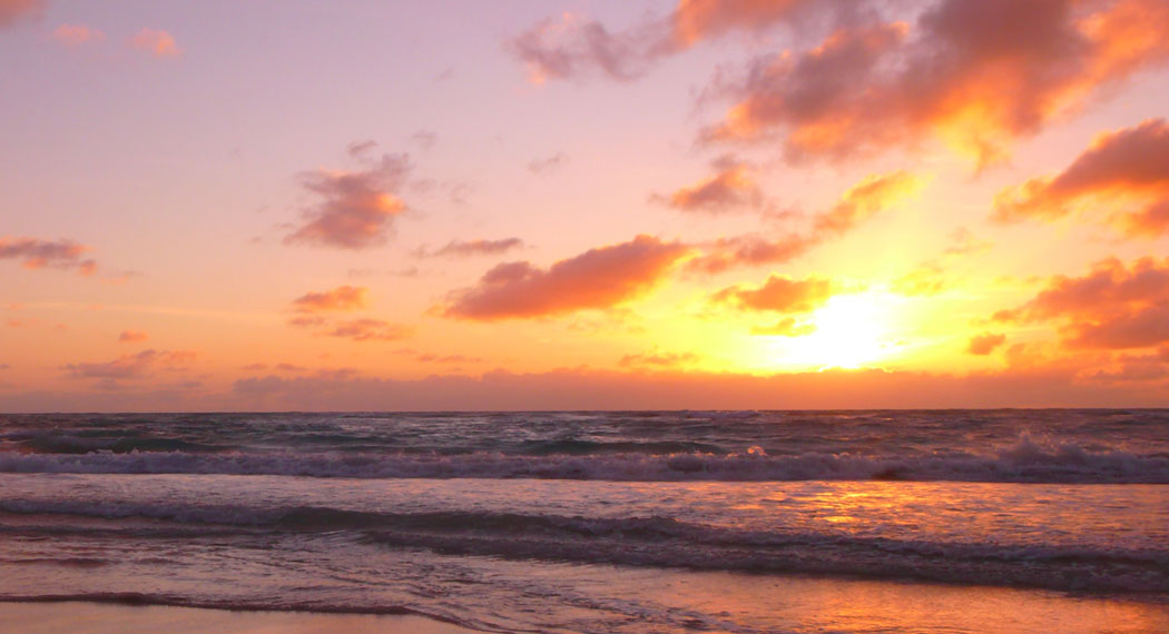 Implant Retained Dentures Traverse City MI