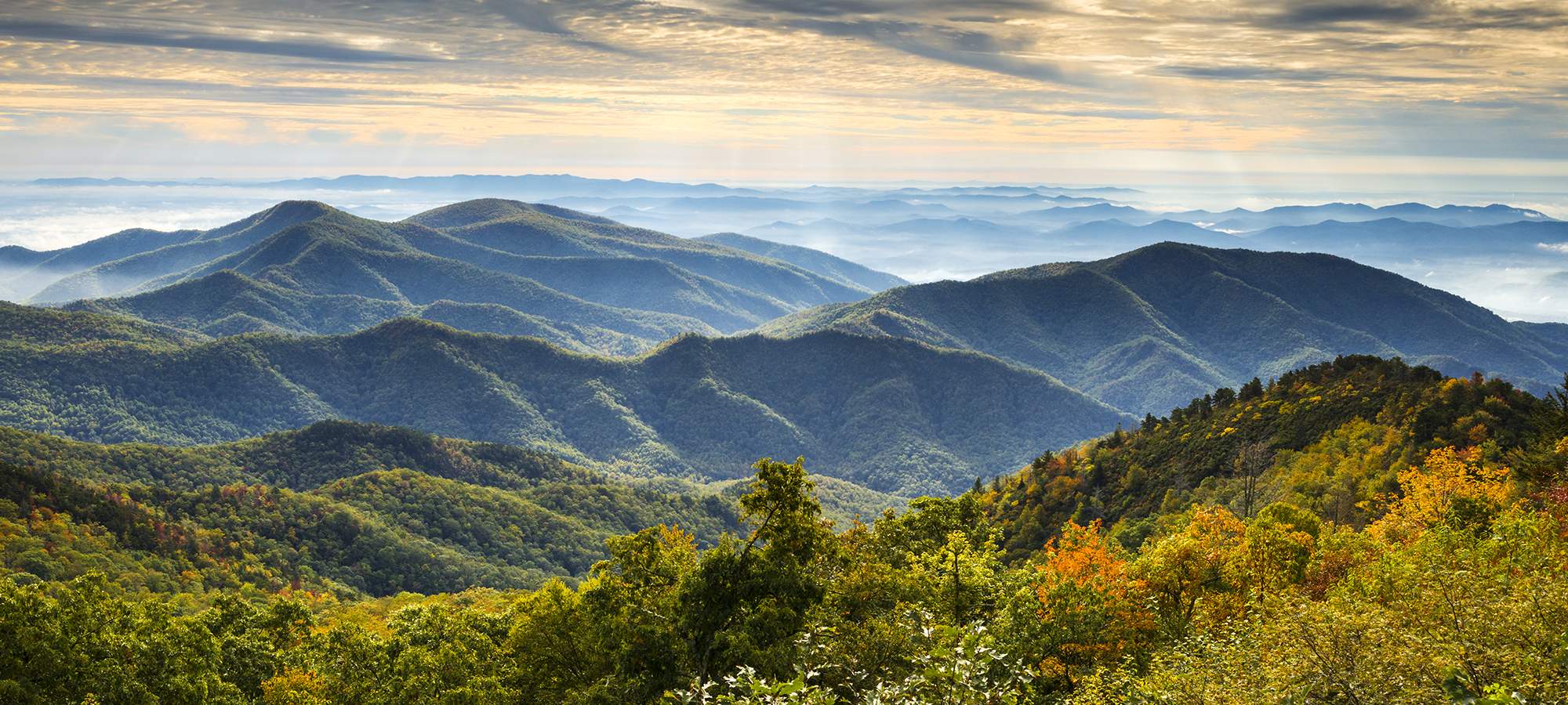 After Extraction of Wisdom Teeth Roseville CA Dry Socket Folsom