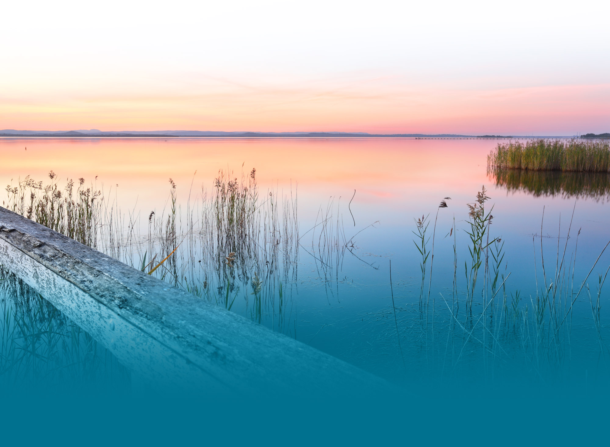 Coastal Endodontics Endodontists for Hinesville, Richmond Hill