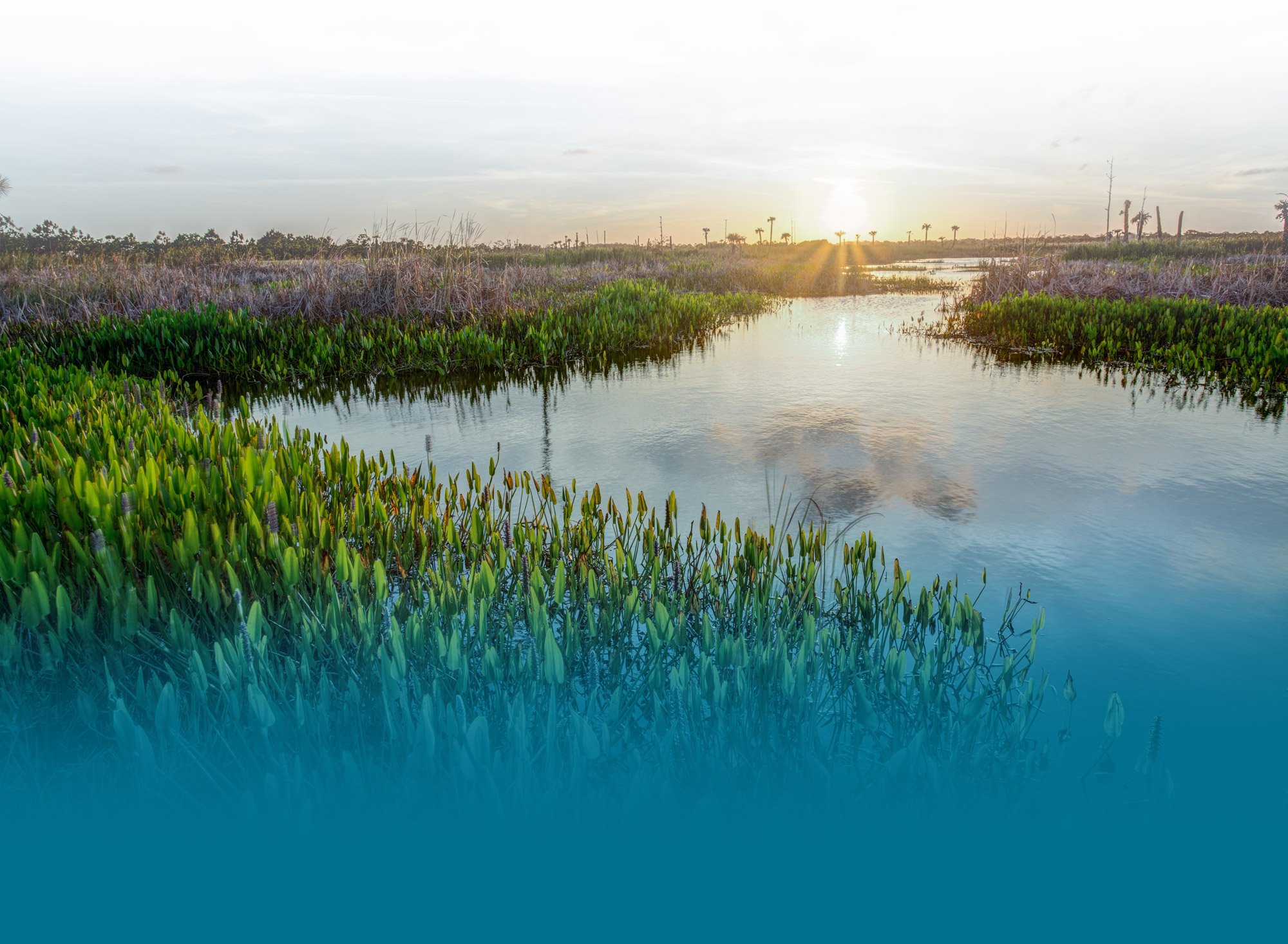 Coastal Endodontics Endodontists for Hinesville, Richmond Hill